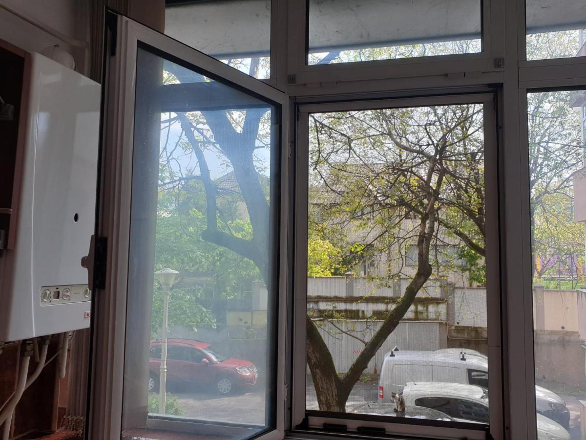 3 Camere Central Iasi Eksteriør billede